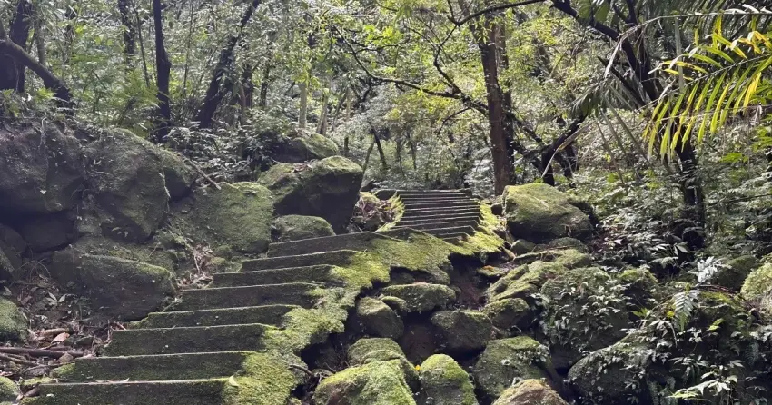 2026新北微笑山線報名開跑！朝聖「台版小黃山」與360度空中走廊，4條療癒系健行路線全攻略。