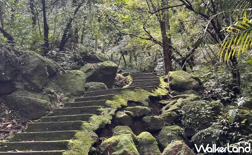 ▲走進孝子山步道，感受被層層綠意環繞的山林風景。圖／新北市政府觀光旅遊局提供；窩客島整理