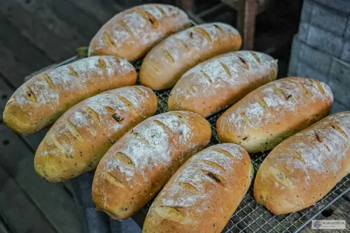土家柴燒窯烤麵包