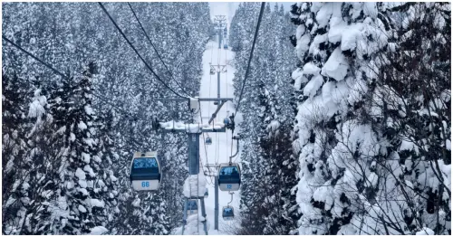 日本三大樹冰之一！森吉山樹冰 搭乘阿仁滑雪場纜車直達，秋田犬北斗超萌迎賓。