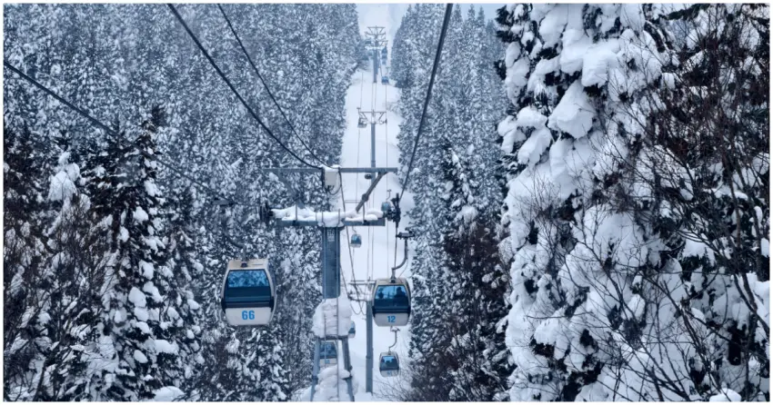日本三大樹冰之一！森吉山樹冰 搭乘阿仁滑雪場纜車直達，秋田犬北斗超萌迎賓。