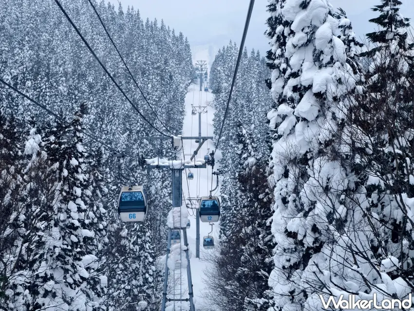 ▲冬季搭乘阿仁滑雪場纜車上山，沿途亦有機會欣賞壯麗樹冰景觀。（攝影：楊婷雅）