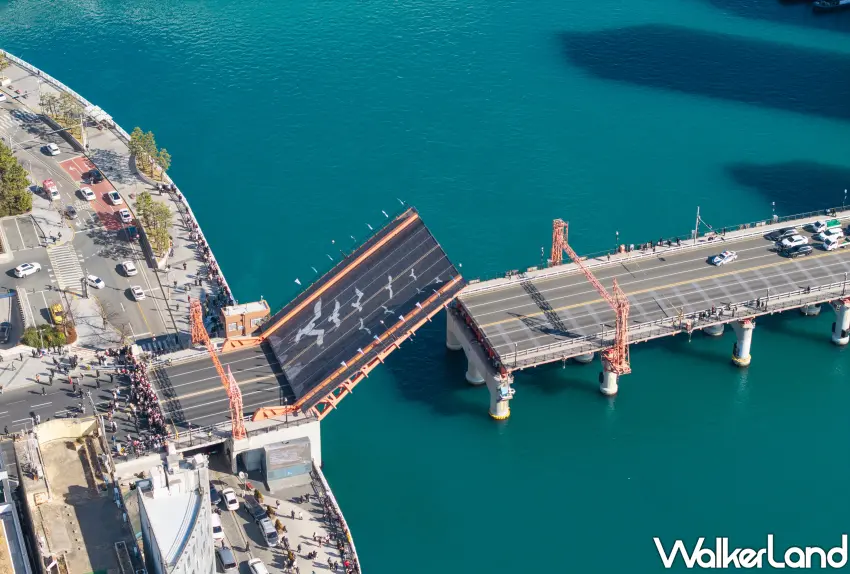 ▲釜山著名的影島大橋開啟景觀,是許多遊客必訪的特色地標。