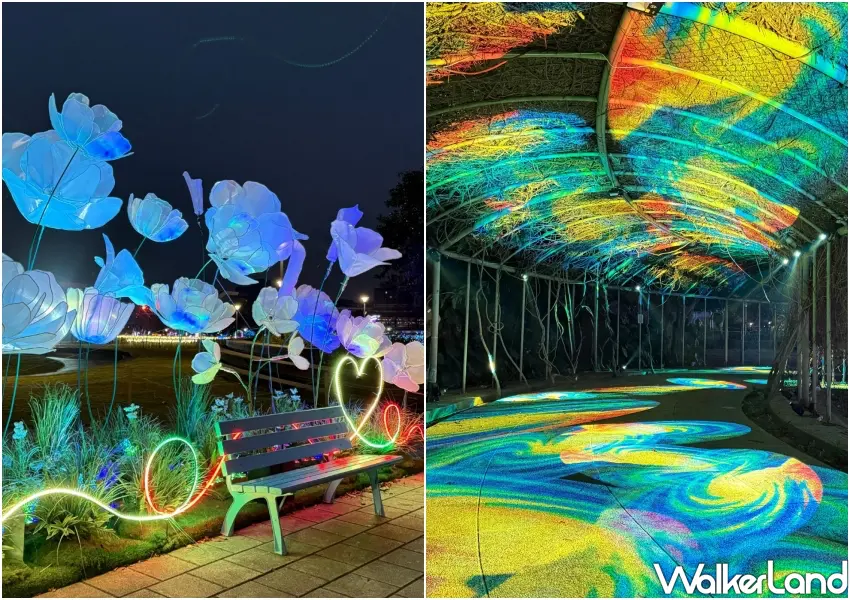 ▲台北燈節花博公園藝術燈區，透過巨型花卉光影打造夢幻的沉浸式感官體驗。