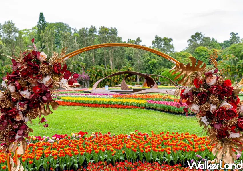 ▲士林官邸鬱金香展透過水流花海設計，將園藝美學發揮到淋漓盡致。