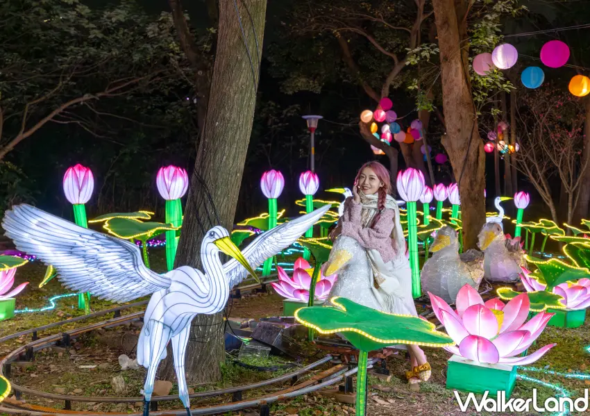 ▲漫步南崁溪水岸遇見唯美白鷺鷥燈組，隨手一拍都是氛圍感十足的網美照。