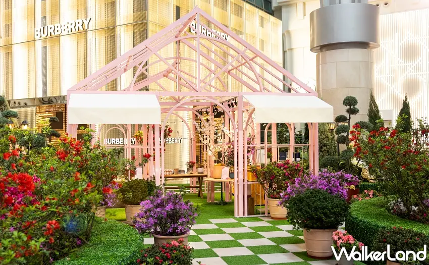 ▲「新北花Young101」主視覺融合花卉美學與台北101地標。 圖/台北101提供;窩客島整理