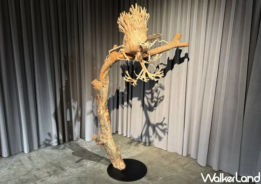 ▲台北內湖免費展覽！藝術家陳家邦以昆蟲擬態概念結合生活器物，創作出極具視覺衝擊的木雕藝術品。(攝影：鄭亦庭)