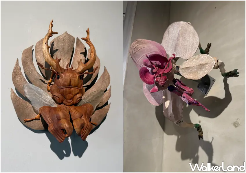 ▲內湖蟲蟲擬態木雕展必拍！展區牆面懸掛著鍬形蟲木雕、擬態蘭花的螳螂超逼真。(攝影：鄭亦庭)