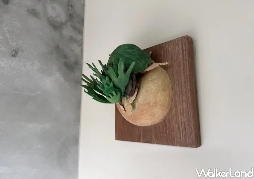 ▲內湖安棲之所展覽牆面上有鹿角蕨瓢蟲木雕，近距離觀看才能發現瓢蟲的足部。(攝影：鄭亦庭)