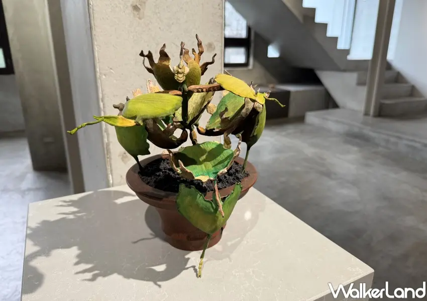 ▲安棲之所特展以昆蟲擬態概念引領觀者思索自身適應環境的方式，尋找心理與現實中的穩定歸屬。(攝影：鄭亦庭)