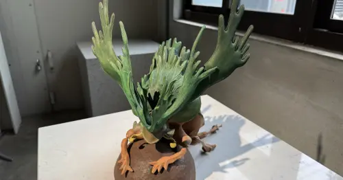 台北蟲蟲木雕展！免費入場內湖蟲蟲擬態木雕展，鹿角蕨瓢蟲、枯木甲蟲超酷。