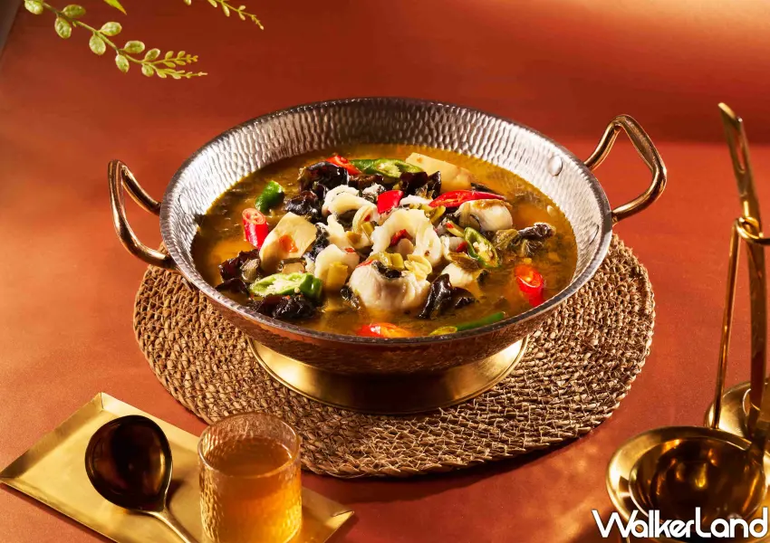 ▲火鍋控要吃的「金湯椒香酸菜魚」,秘製金湯結合慢炒酸菜與藤椒清香,溫潤鮮麻且順口不油膩。