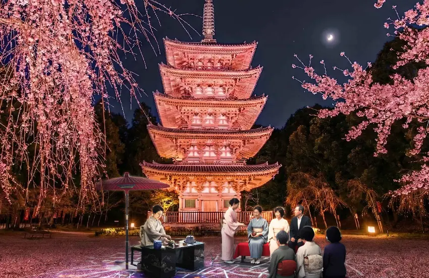 ▲五重塔前設有茶道表演與呈茶席，旅客可在櫻花環繞的空間中品嚐茶點，此為現場付費體驗，無需事先預約。