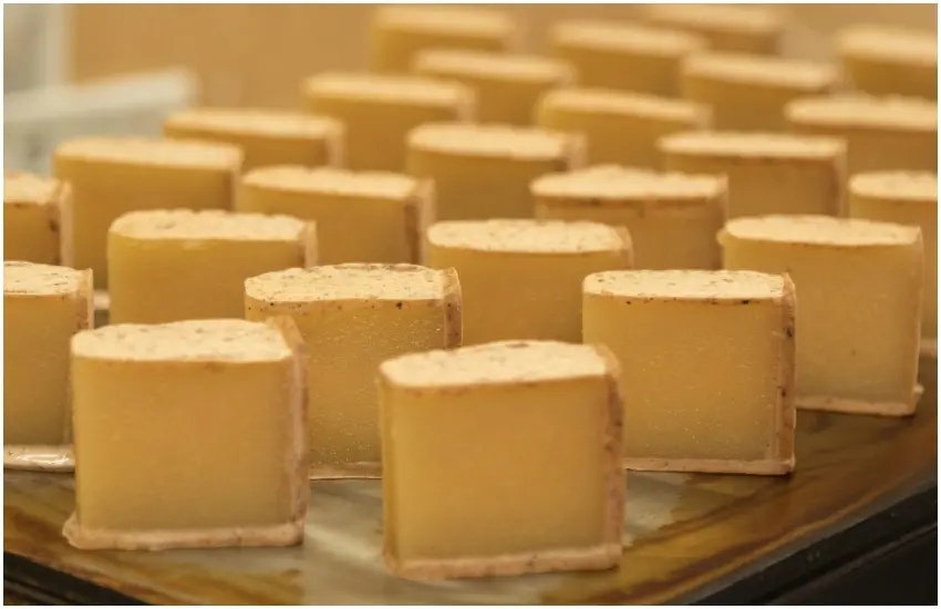 ▲從東北山形、關東埼玉神奈川、關的京都大阪兵庫奈良到九州福岡宮崎都有代表參戰。