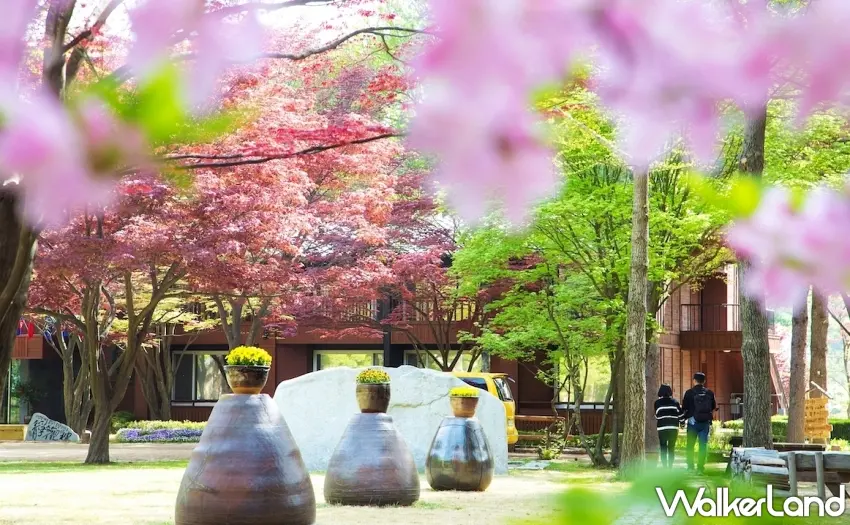 ▲3月6日票券日推出92種限量票券優惠，日韓一日遊享半價。圖／Trip.com提供；窩客島整理