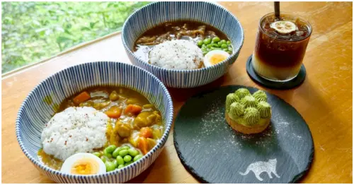 貓奴必衝公館咖啡廳！貓食光結合咖啡廳與貓咪中途，貓砂蛋糕點起來。