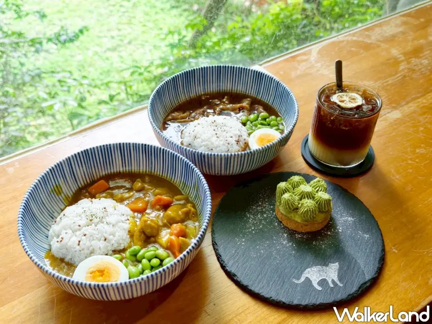 ▲「貓食光」結合咖啡空間與貓咪中途照護，為想親近貓咪與有意認養的人提供安心舒適的交流空間。（攝影：楊婷雅）