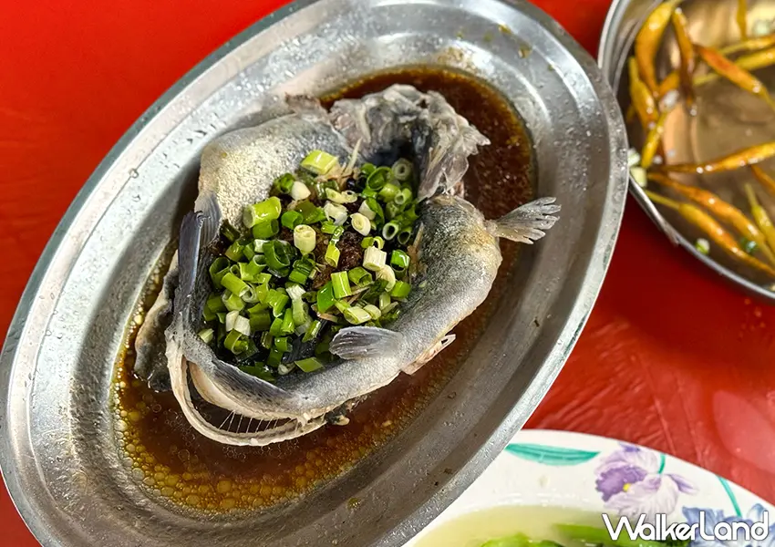 ▲宜蘭海鮮餐廳推薦！牛鬥鱒魚餐廳 釣魚現煮超好玩，炭烤、紅燒鱒魚必吃。