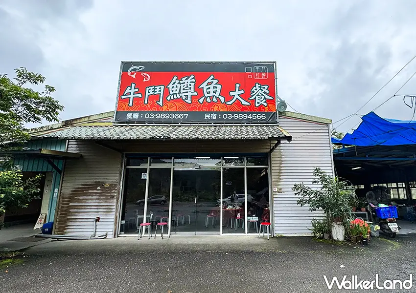 ▲宜蘭海鮮餐廳推薦!牛鬥鱒魚餐廳 釣魚現煮超好玩,炭烤、紅燒鱒魚必吃。