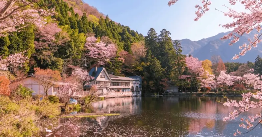 2026日韓賞櫻優惠全攻略！Klook推出88折早鳥價、避開人潮小眾城市秘境推薦。