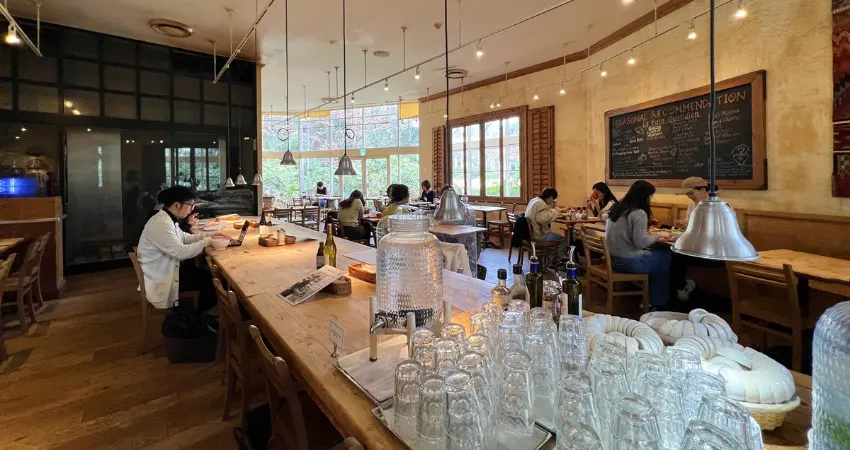 ▲與東京一般咖啡館的拘謹有別,這裡揭露了東京內在的另一面,看似嚴謹克制,實則極度寬容且內斂,人們處於自在地半社交的狀態。