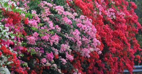 2026台灣燈會瑪利歐現身！入住嘉義福容voco酒店賞花燈專案，4人折抵千元再送千元調酒抵用金。