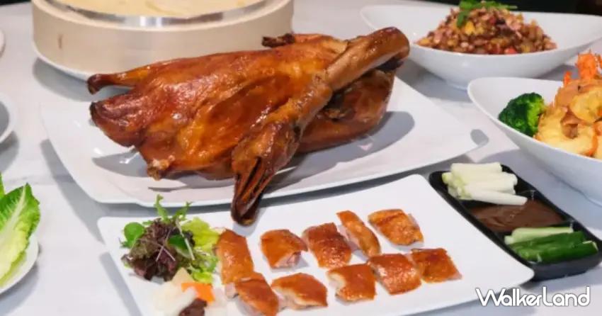 ▲大巨星港式飲茶 24小時營業，就算演唱會結束已經深夜，也能吃到熱騰騰的港式料理，想在宵夜時段大口吃烤鴨也完全沒問題！（攝影：鄭雅之）