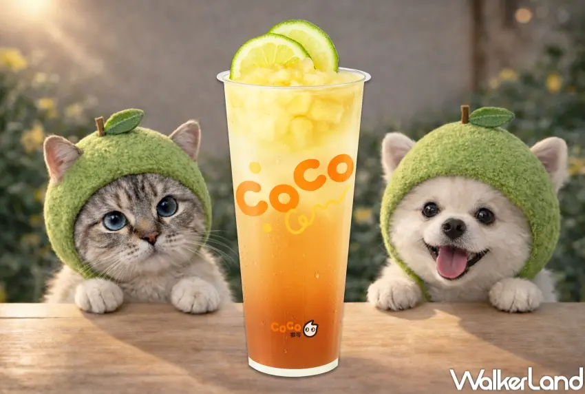 ▲CoCo都可3/11好友日限定，粉角檸檬冬瓜買一送一2杯65元。