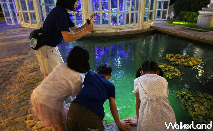 ▲預訂專案加碼贈送青蛙生態導覽，在星光下與12種蛙類交織的自然交響樂相遇。圖／遠雄悅來大飯店提供；窩客島整理