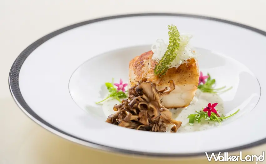 ▲文華Café「平日午間饗．吃．吧」推出全新季節主餐「香煎龍膽石斑佐海藻醬汁」。圖／台北文華東方酒店提供；窩客島整理