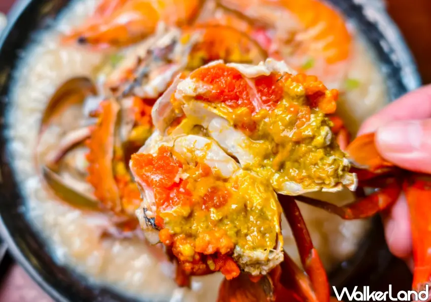▲「鮮記螃蟹海產粥」選用的紅蟳約5.5兩左右,打開蟹殼後可以看到飽滿濃郁的蟹黃。(美食好芃友提供)