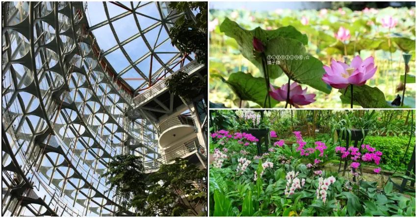 ▲在城市裡也能感受滿滿綠意！從「國立自然科學博物館植物園」壯觀的玻璃溫室建築，到「台北植物園」夏季盛開的荷花池景觀，以及「台北典藏植物園館」內展示的多樣熱帶植物，療癒角落輕鬆就能尋覓。