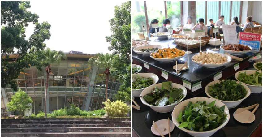 ▲「台東原生應用植物園」以台灣原生植物培育與應用為主題，園區展示多樣本土植物資源，並結合特色餐飲，以原生野菜與植物熬煮火鍋，是東部相當特別的植物主題園區。