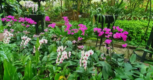 不只台北植物園！全台7大絕美植物園推薦，溫室秘境、森林步道療癒首選。