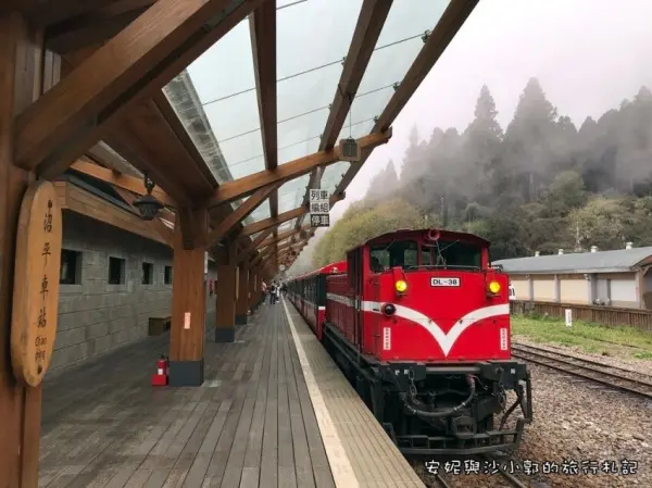 ▲阿里山景點必拍鐵道！沼平車站與沼平公園有著櫻花花海，是阿里山賞櫻勝地。(攝影：部落客 安妮與沙小郭)