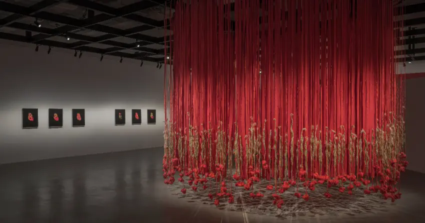 新北館免費展覽！新北市美術館花心創作展免門票，編織心臟、紅麻線絲流必拍。