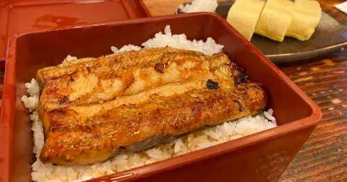 台北肥前屋鰻魚飯回來了！新菜單最貴漲100元，發號碼牌時間要知道。