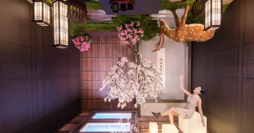 林口賞花最新推薦！奇幻顛倒櫻花、紫藤花瀑免費拍，週末衝林口三井outlet。