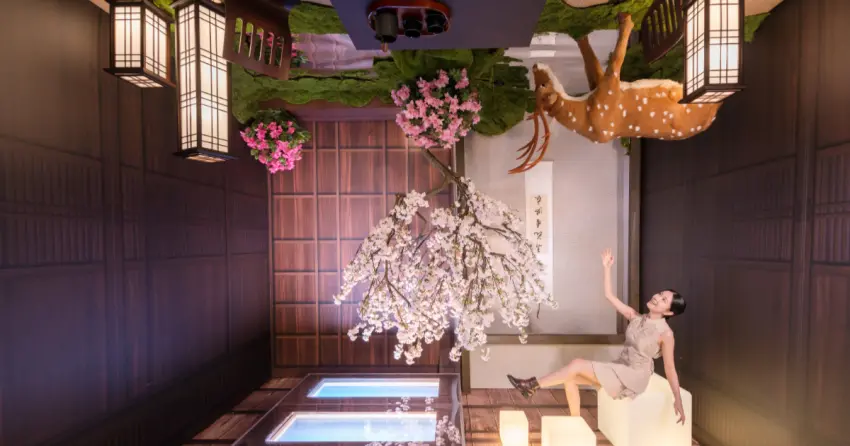 林口賞花最新推薦！奇幻顛倒櫻花、紫藤花瀑免費拍，週末衝林口三井outlet。