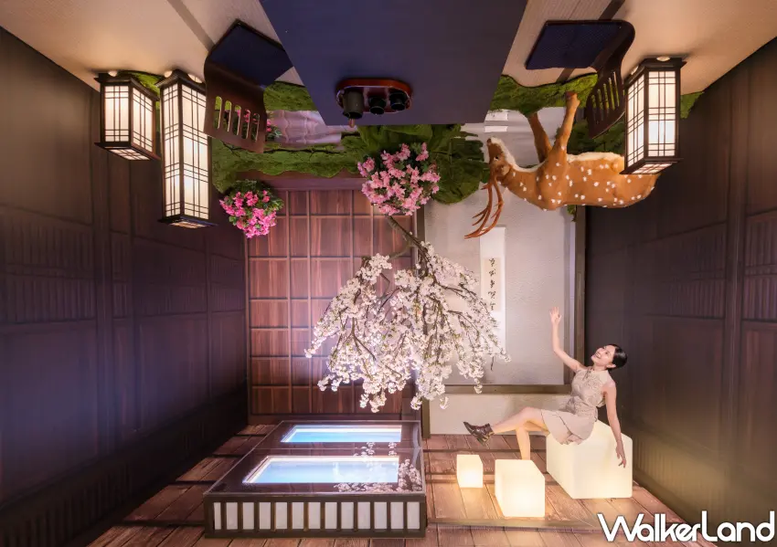 ▲挑戰地心引力的倒映之庭，在林口三井欣賞顛倒綻放的夢幻櫻花。