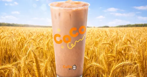 CoCo新品買一送一！一日限定擂擂穀麥奶茶買一送一，白色情人節2杯99元組合再升級。