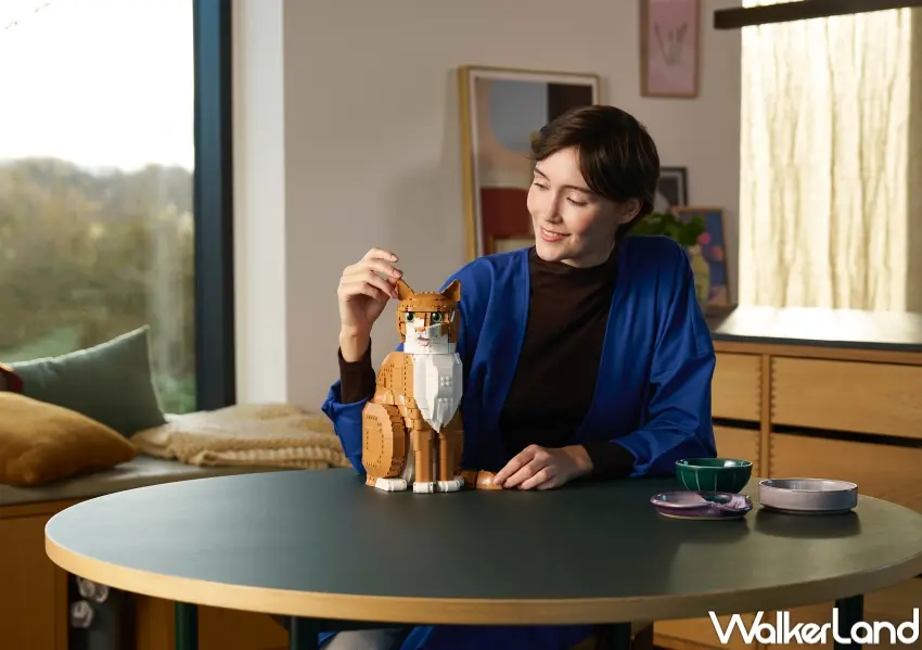 ▲台灣樂高®推出LEGO® Ideas「橘貓」模型，以1,755個零件打造可動細節，呈現橘貓斑紋與毛流，完成後高度超過32公分。