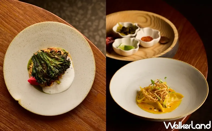 ▲融合清邁旅行記憶的泰北咖哩手工蟹餃，巧妙運用客家酸菜入味。 圖／NOVE提供；窩客島整理