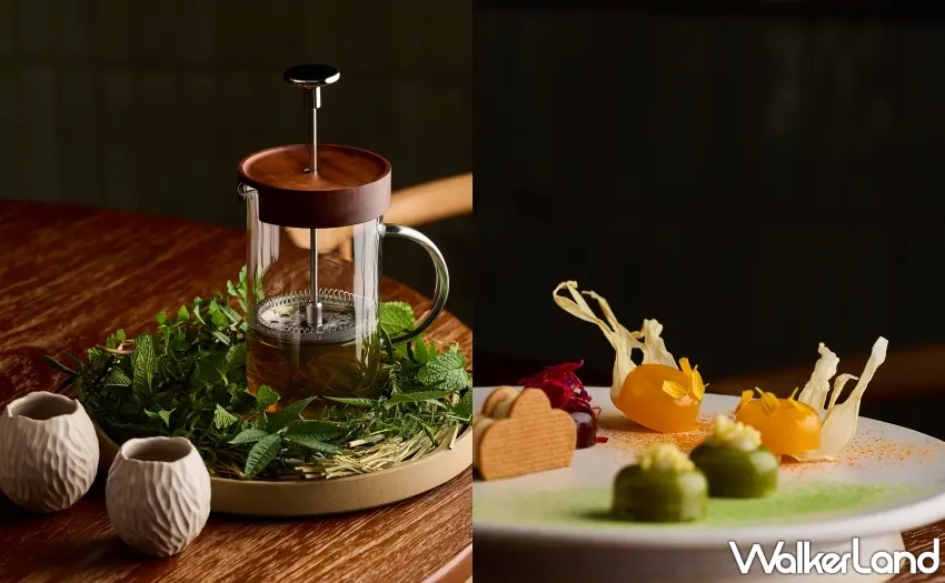 ▲以法式工法熬製的香草土雞澄清湯，加入熟火腿與現採香草清空味蕾負擔。 圖／NOVE提供；窩客島整理