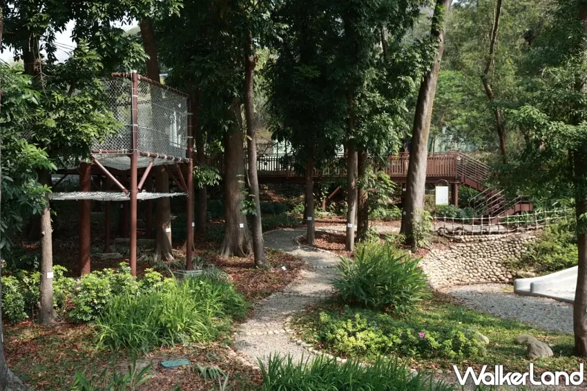 ▲環境教育區「藍色小精靈林空中步道」設於林間，讓孩子在貼近樹梢的高度探索自然，接下來也會舉辦生態教育體驗。圖／薰衣草森林提供；窩客島整理