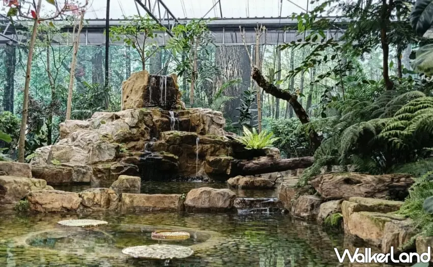 ▲礁溪晶泉丰旅春季三天兩夜專案推出蘭花園生態館體驗，走訪金車礁溪蘭花園附設動植物生態館，探索蘭花展示與雨林綠境。圖／晶泉丰旅提供；窩客島整理