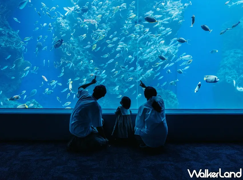 ▲一家人在巨大的黑潮大洋池前駐足，感受海洋生物的生命力，深化對海洋保育的認同。圖／台中海洋館提供；窩客島整理