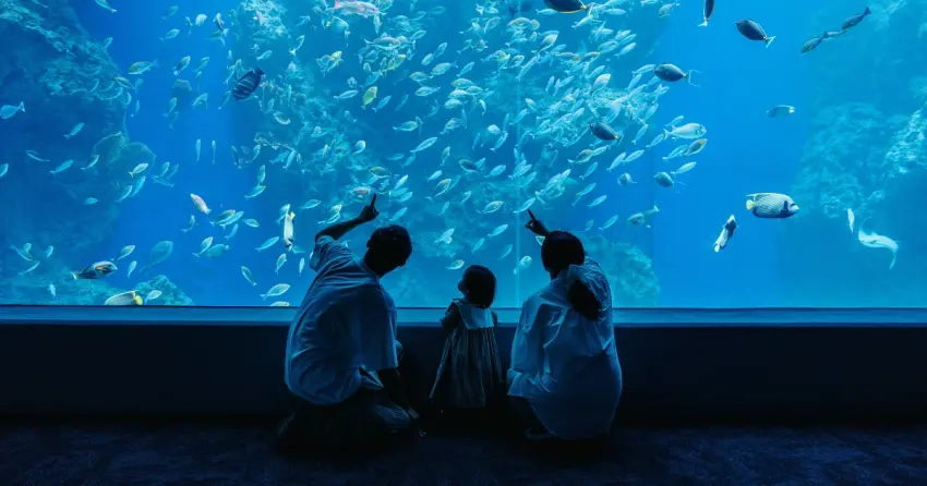 台中海洋館兒童連假限時優惠！捐出二手繪本換門票，讓愛心暢遊海洋。