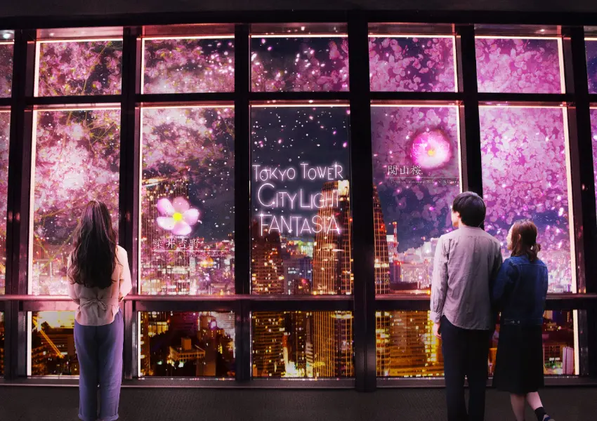 ▲不需額外付費，只要購買東京鐵塔主甲板展望台門票，就能免費欣賞光雕秀。